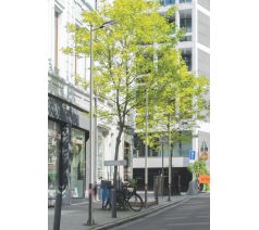 CỘT THÉP KẺ RÃNH CHIẾU SÁNG ĐƯỜNG PHÔ & SÂN VƯỜN